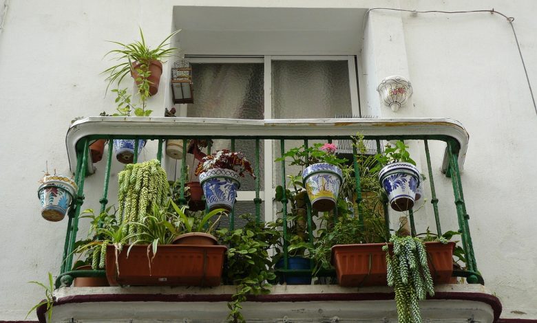 Hängepflanzen Balkon